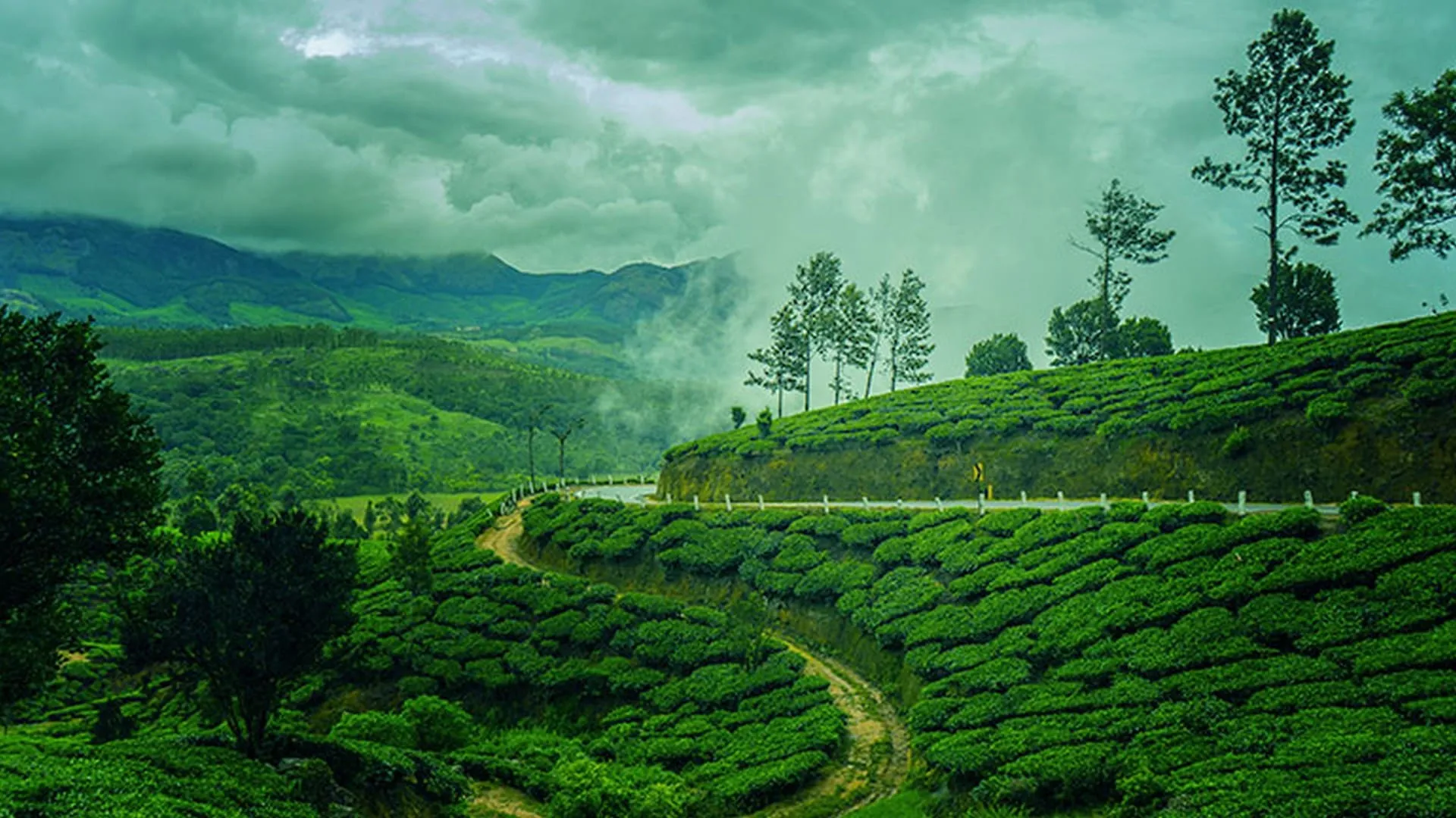 Munnar tea plantations & Echo Point